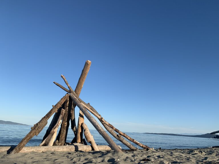 The Best Beaches on Vancouver Island